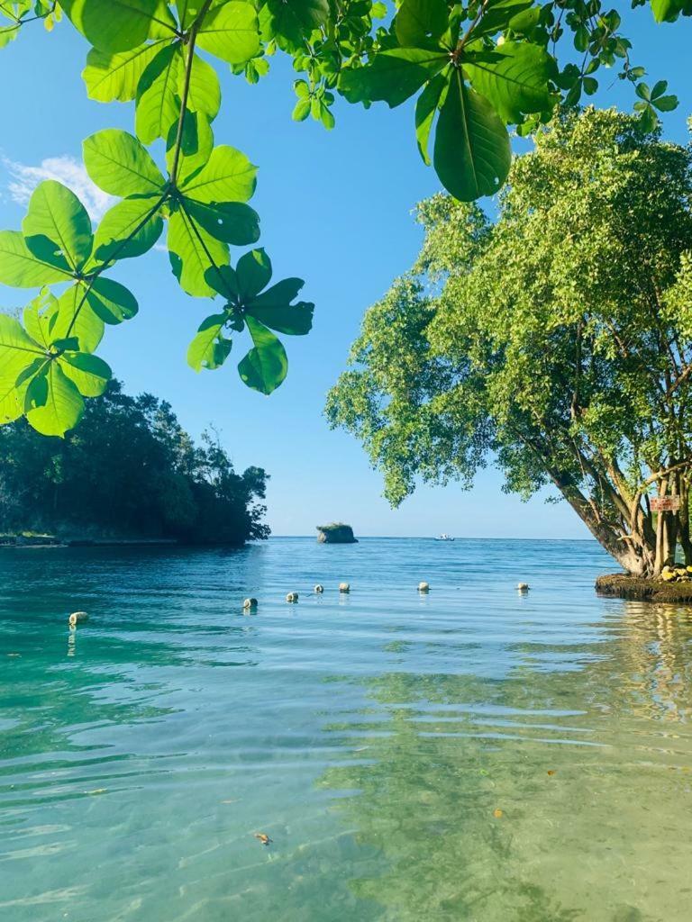 Tha Lagoon Spot Caribbean Breeze Daire Port Antonio Dış mekan fotoğraf