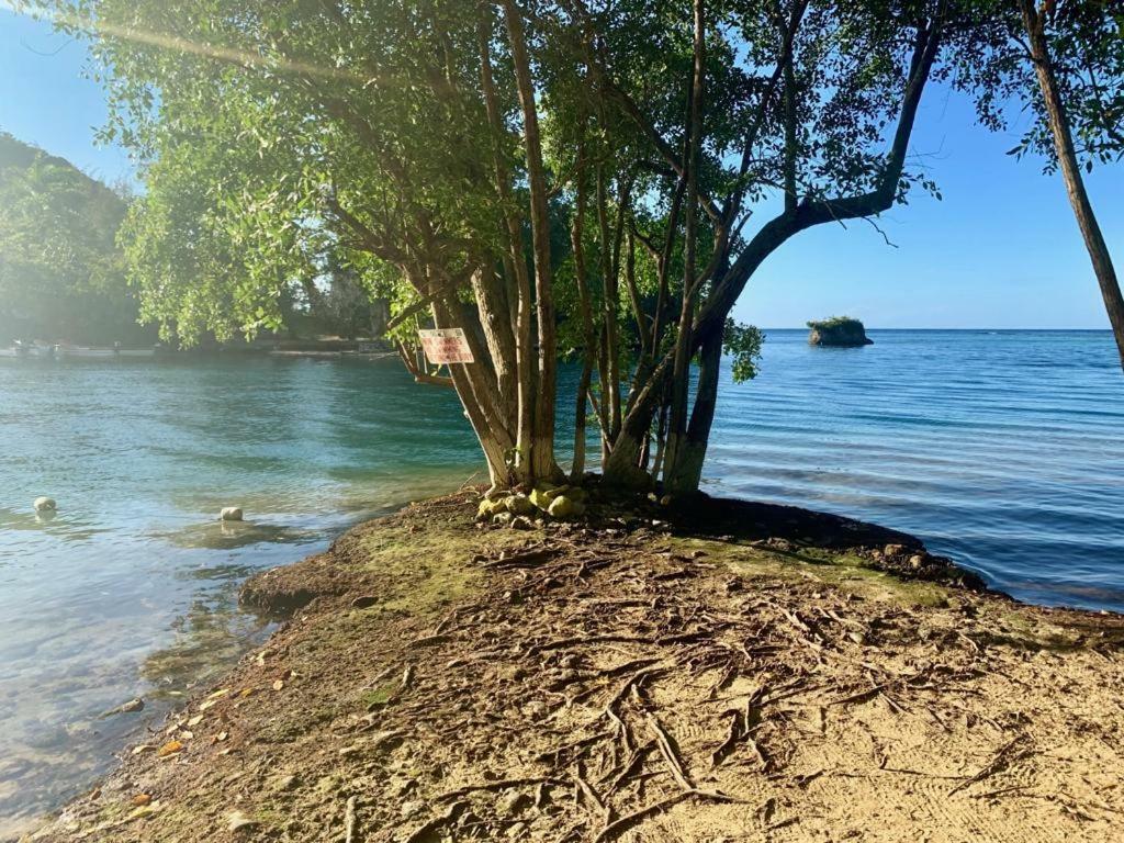 Tha Lagoon Spot Caribbean Breeze Daire Port Antonio Dış mekan fotoğraf